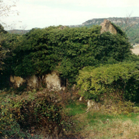 Découverte de la ferme